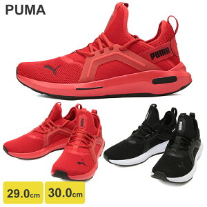 PUMA v[} jOV[Y 29.0cm 30.0cm SOFTRIDE G] 5 C Xj[J[ jO EH[LO 傫TCY Y ubN bh
