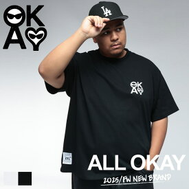 Tシャツ 半袖 メンズ 大きいサイズ ワンポイント刺繍 ビッグシルエット トップス 刺繍 ホワイト ブラック 1XL 2XL 3XL ALL OKAY オールオーケー サカゼン サカゼン