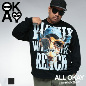Tシャツ 長袖 メンズ 大きいサイズ ビッグプリント ワイドシルエット トップス ロンT ホワイト ブラック 1XL 2XL 3XL ALL OKAY オールオーケー サカゼン