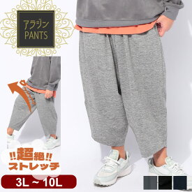 ボトムス メンズ 大きいサイズ サルエルパンツ DRY ストレッチ 7分丈 スポーツ トレーニング WEB限定 アラジンパンツ 3L 4L 5L 6L 7L 8L 9L 10L 快適 速乾性 カジュアルスタイル トレンド リラックス感 黒 PIMLICO ピムリコ