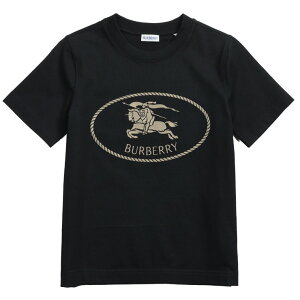 バーバリー(BURBERRY) レディースTシャツ・カットソー | 通販・人気 