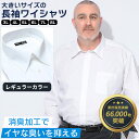 ワイシャツ 長袖 メンズ 大きいサイズ カッターシャツ ビジネス オールシーズン対応 レギュラーカラー 形態安定 消臭 白無地 ホワイト LLサイズ 3L 4L 5L 6L 7L 8L 9L 大きいサイズメンズのサカゼン