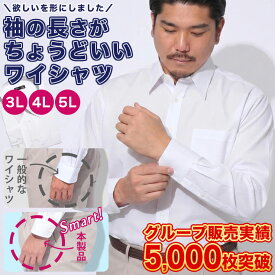 ワイシャツ 長袖 カッターシャツ メンズ 大きいサイズ ビジネス 形態安定 無地 レギュラーカラー RELAX BODY オールシーズン 3L 4L 5L 首回り 44 46 48 B＆T CLUB 大きいサイズメンズサカゼンのワイシャツ