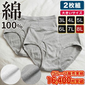 ブリーフパンツ 2枚組 大きいサイズ メンズ【楽天ランキング1位獲得】綿100％ 無地 前開き アンダーウェア 通年肌着 ブリーフパンツ ホワイト グレー XL LLサイズ 3L 4L 5L 6L 7L 8L B＆T CLUB INALL