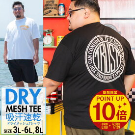 【ポイント10倍】【クーポン利用で最大5000円引き】Tシャツ 半袖 メンズ 大きいサイズ 3L 4L 5L 6L 8L 送料無料 ドライメッシュ 吸水速乾 プリント ロゴT カレッジ バックプリント オーバーサイズ ゆったり WEB限定 PIMLICO ピムリコ sclt 人気 新作