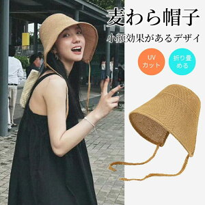 Xq Xg[nbg ΍L ܂肽ݖXq  Ă΍ Ռ ΍L 킢 UVJbg ʋC y OJbg nb