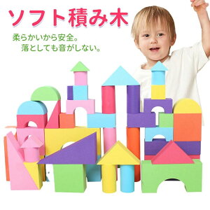 \tgubN \tg݂ Zbg Jt [ܕt ςݖ ݂ EVAf y _炩 ubN  DIY Jt