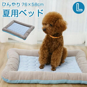 ybg Ђ }bg 76×58cm N[}bg NbV Lp ybg}bg ėp _炩 Ђ ⊴ bV ڐG⊴ ⊴}bg  ΍ Mǖh~  L Q Q[W  