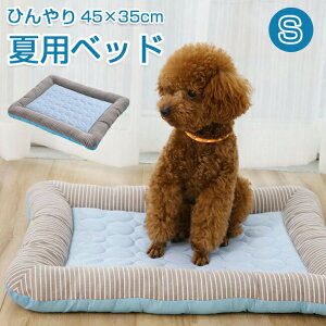 ybg Ђ }bg 45×35cm N[}bg NbV Lp ybg}bg ėp _炩 Ђ ⊴ bV ڐG⊴ ⊴}bg  ΍ Mǖh~  L Q Q[W  