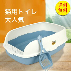 LgC 傫߁@lR  ^ ^ L gC lp ɂ΍ L e Vv J юUh~ Lp lRpi XRbvt  Lpi A⍻ юUh܂ | N