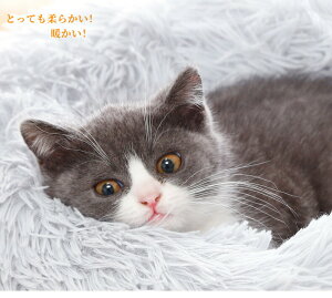 ybgxbh 50cm*15cm 4FIׂ ӂӂ  g H~p ی^ 􂦂 h ybgNbV G ^ L Lxbh  xbh ybg\t@[ n 킽   S 喞