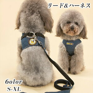 n[lX Ln[lX [h Zbg ybgpi fj ybg p n[lX  ^ L ybg n[lX Lp \tg bV xXg n[lX [hZbg  킢 