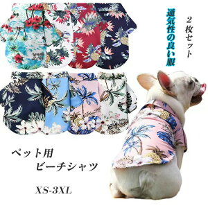  L  2Zbg r[` pCibv Vc nC ybg Ăh Eѕی U  m ʋC hbOEFA 킢ybg O΍ t@bV xXg TVc t