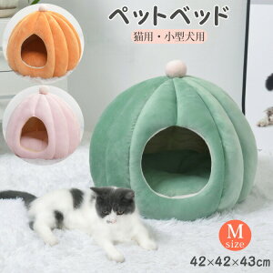 L ybgxbh h[xbh  ^ h[^ ybgnEX Lp lR xbh h[ p nEX t H ~ 􂦂 \  hbOnEX 킢  NbV z