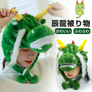 x CN 2024 蕨 C  Ԃ  Ԃ Lbv  Aj}nbg RXv hS dragon RXvߑ Aj}Xq  ʂ ̖Xq g h