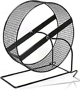 񂵎 TCgzC[ nX^[񂵎 pߋ ybgpi Â S vňS S[fnX^[ nX^[{[ fO[ V}X nlY~̏ɃTC