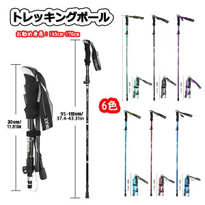 yzoRp 2{Zbg g 145cm-170cm  gbLO|[ y gbLOXebL A~ XebL XeBbN gbLO EH[LO|[ Lk Ro  
