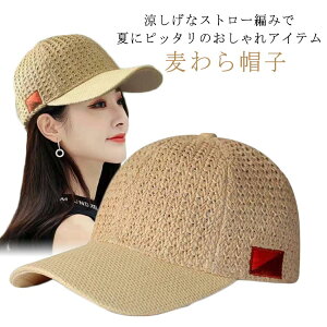 Lbv Lbv i` ėp Y fB[X StLbv Xq  Xq n St StXq 傫TCY