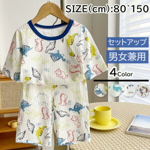 ZbgAbv pW} LbY w   jp j̎q ̎q q ㉺Zbg t H [EGA Hp  ۈ牀