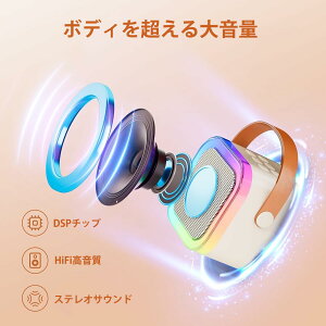 ミニ カラオケ スピーカー マイク 2本付き 家庭用 マイクスピーカー ワイヤレス マイク karaoke 無線マイク LEDスピーカー 自宅 歌 練習