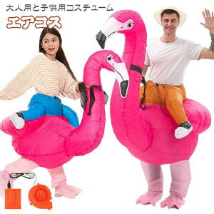  t~S qp lp nEB  RX`[ RXv t~S t~S.xjd RXv 