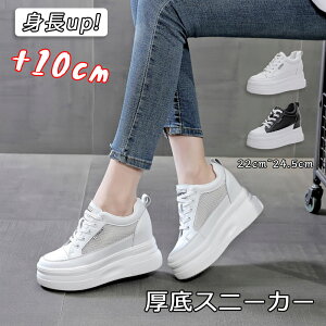  Xj[J[ 10cm y ėp gAbv C   bV T}[V[Y fB[X C V[Y EH[LO _bhXj[J[ tďH~ ʋC wȂ  r 