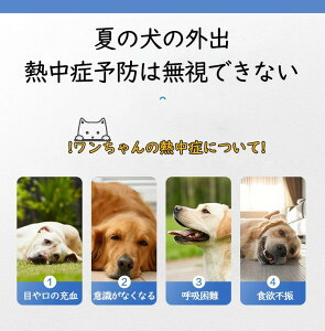 pN[xXg  ėp N[ ^ ^  N[EFA   N[ G炷 N[xXg Ђ ObY MǑ΍ U ybg  ybgpi ybg⊴EFA3XL/4