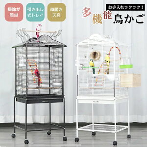 P[W o[hP[W    P[W o[hpX ~܂ GT2 p  ȒP CRP[W IEP[W KP[W IJCRP