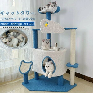 Lbg^[ ^L FDt 傫nEX 킢 NA{E L^[ 傫ȔLnEX xbh   ^ u ܂Ƃ lR Lp ^s XgX 萫