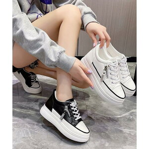 Xj[J[؍ fB[XȂC JWAC EH[LO ʋΒʊw