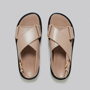 MARNIb}j J[tXL NX X^C T_ FBMS005201 P3614yzy֐łȂzyyVCOʔ́zyKiz