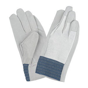 |[NWC@z[PO[u 220@؁@v@#220@bX@ؕ\