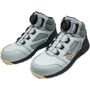 I[}CeBLS II 73M BOA F1GA2505