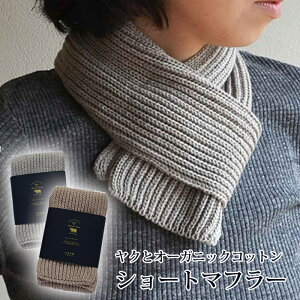 yVߖDz NƃI[KjbNRbg V[g}t[ { t[TCY wlp p fB[X   ۉ g ɂ₳ Ci[ i`  `N`