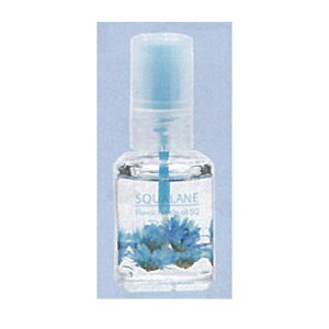 t[o[L[eBNICSQ  yBSz