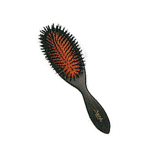 ƖpwAuV VgNbVuV[] y wAuV wA[uVi eEe@Eet X^COuV Ɩp Tꔄi z