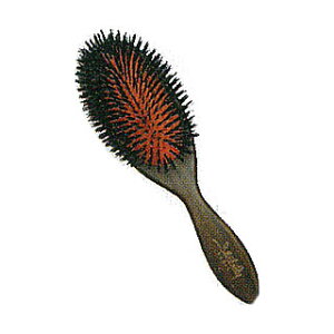 ƖpwAuV VgNbVuV[] y wAuV wA[uVi eEe@Eet X^COuV Ɩp Tꔄi z