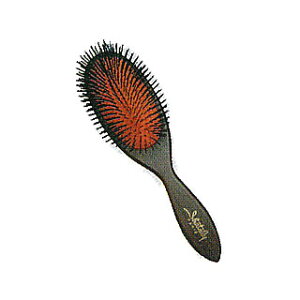 Vg iC NbVuV  y wAuV wA[uVi eEe@Eet X^COuV Ɩp Tꔄi z