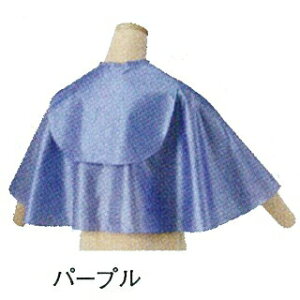 BGobNVv[CS 2g p[v y e e@ et v p wAPA ObYpi Vv[ i ֘A zyBSz