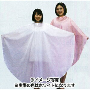 GNZ 4125 OChNX Ȃ zCg y e e@ et v p Ɩp Tꔄi zyBSz