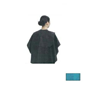 GNZ W1015 obNVv[NX S TbNX