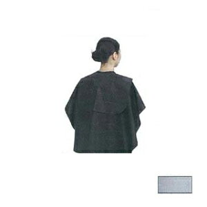 GNZ W1015 obNVv[NX S zCg