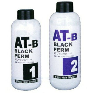 ブラックアイロンパーマ 1剤400mL 2剤500mL 【 ブラックアイロンパーマ 1剤400mL 2剤500mL 美容室 美容院 美容師 プロ愛用 】