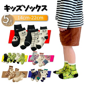 _ő唼zN[|&őP20{^ y5gzC LbY \bNX q  ̎q  j̎q 5Zbg 킢 qǂ  xr[  I[V[Y t  v 5g e