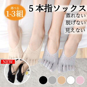 y߂܂œz 5{w\bNX fB[X C 3Zbg \bNX tbgJo[ X|[c ~ ܖ{w Xj[J[ EȂ  Ȃ Ci[\bNX ʋC Ȃ 