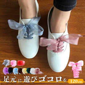 ＼SSクーポン&レビュープレゼント有／【最短翌日着】靴紐 靴ひも 推し活 シューレース 2本セット リボン 春 夏 推し色 幅広 靴アクセサリー シューアクセ 靴ケア用品 スニーカー 単色 無地 かわいい ふんわり ボリューム 透け感 リボン