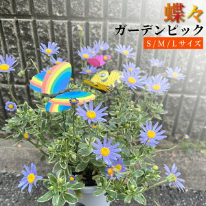_ő唼zN[|&őP20{^ y߂܂œz K[fsbN K[fI[ig pi X Ԓd 咆 傫  傤   A A u ₩ Jt