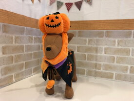 かぼちゃのぼうし(ハロウィン　ワンコ　犬用　犬　着ぐるみ　かわいい　インスタ映え　キャップ　ジャコランタン)