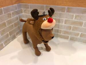 giJĈڂ(NX}X@R@p@@݁@킢@CX^f@Lbv@[NX}X@OpXq@)