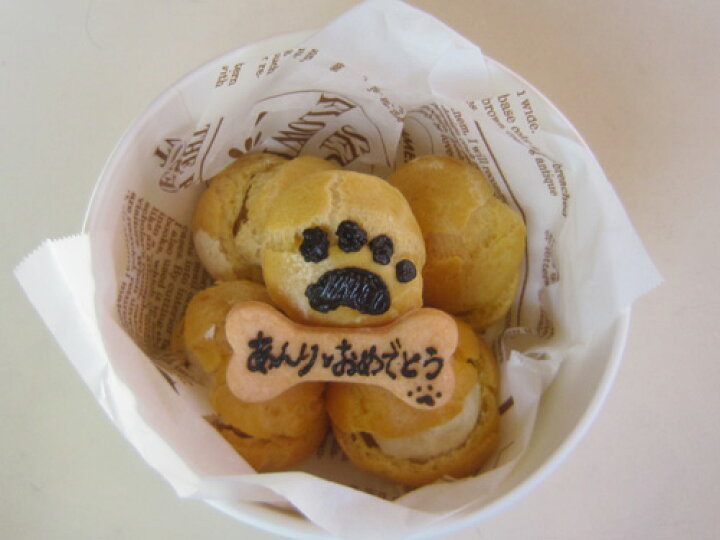 楽天市場 わんこのシュークリーム 犬用おやつ ご褒美 お祝い おいしい ｄｏｇｌａｂｂｕｂｂｌｅｂｏｏ
